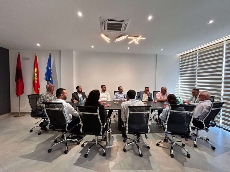 Këshilli Kombëtar i Shqiptarëve takim me drejtorët e shkollave shqipe për sfidat e arsimit në gjuhën amëtare