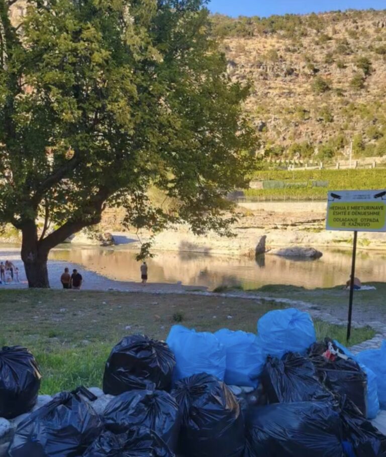 Në aksionin e pastrimit të brigjeve të Cemit u larguan mbi 340 kg mbeturina