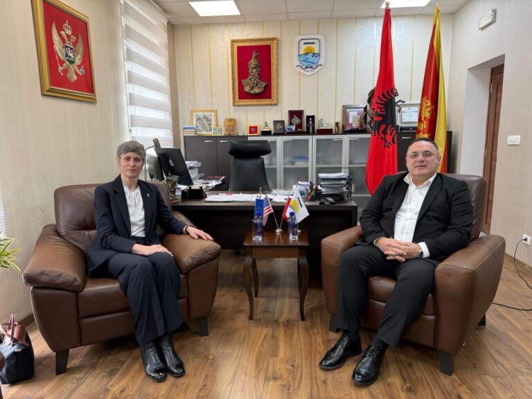 Gjelaj priti Përfaqësuesen e UNDP, u dakorduan për nënshkrimin e memorandumit për projekte në të mirë të qytetarëve